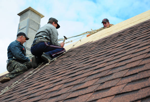 Best Roof Gutter Cleaning  in Gonzales, LA